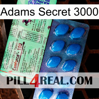 Adams Secret 3000 new02